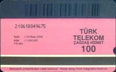 Ayasofya 100