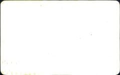 Peri GmbH Time Card