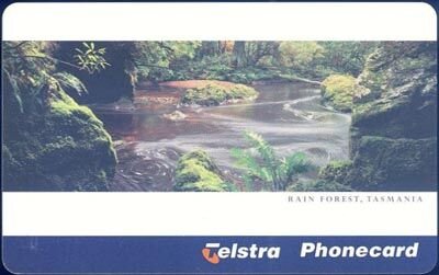 Rain Forest Tasamania