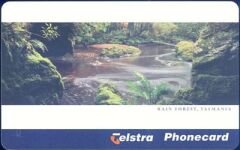 Rain Forest Tasamania