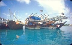 Traditional Dhows Part of the UAE heritage.