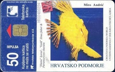 Miro Andric 50