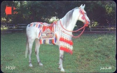 Hajir