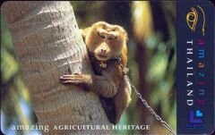 Amazing Agricultural Heritage