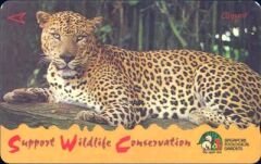 Support Wildlafe Conservation