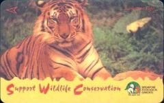 Support Wildlafe Conservation