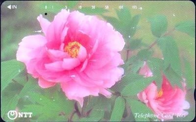 Japan 9