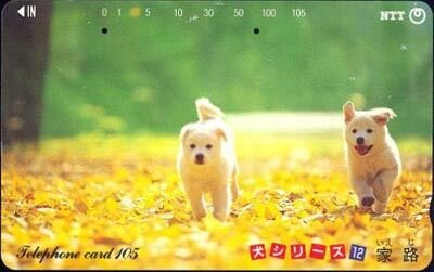 Japan 26