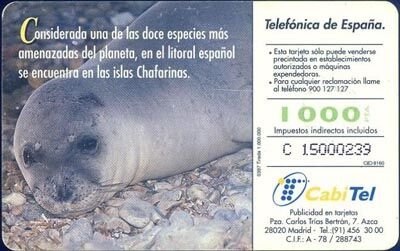 Fauna Iberica  Foca Monje