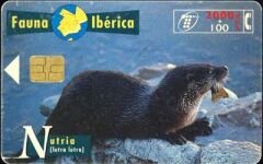 Fauna Iberica  Nutria