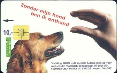 Zonder mijn hond ben ik onthand 10